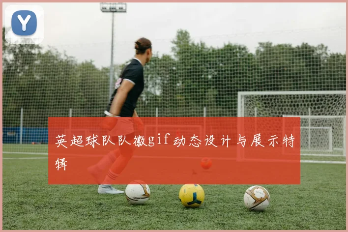 英超球队队徽gif动态设计与展示特辑