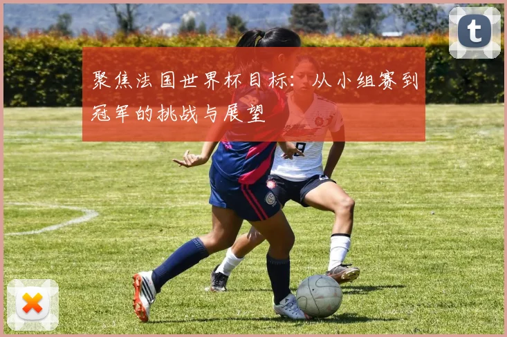 聚焦法国世界杯目标:从小组赛到冠军的挑战与展望