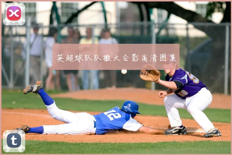 英超球队队徽大合影高清图集