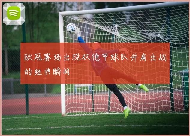 欧冠赛场出现双德甲球队并肩出战的经典瞬间